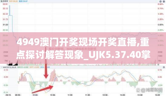 4949澳门开奖现场开奖直播,重点探讨解答现象_UJK5.37.40掌中宝