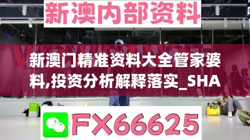 新澳门精准资料大全管家婆料,投资分析解释落实_SHA5.22.35定义版