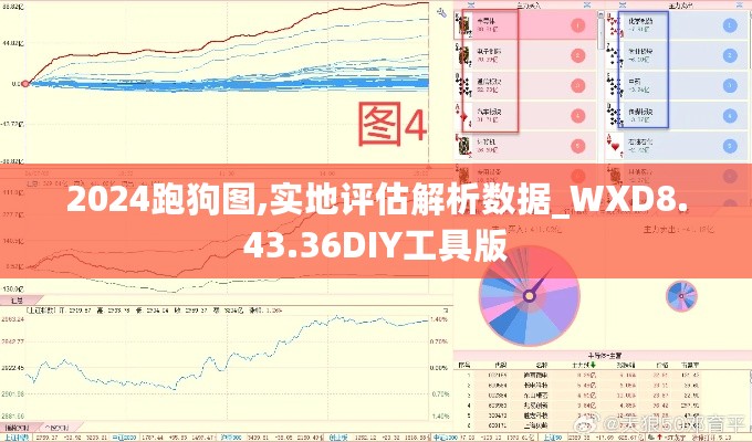 2024跑狗图,实地评估解析数据_WXD8.43.36DIY工具版