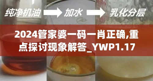 2024管家婆一码一肖正确,重点探讨现象解答_YWP1.17.76文化传承版