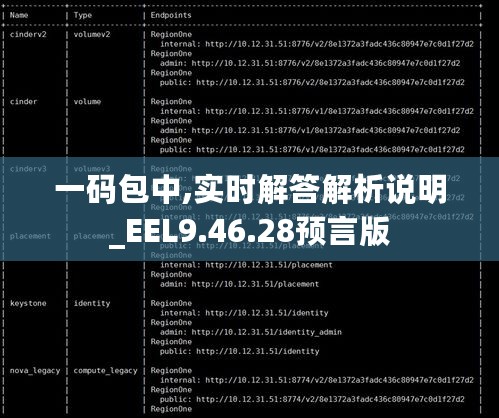 一码包中,实时解答解析说明_EEL9.46.28预言版