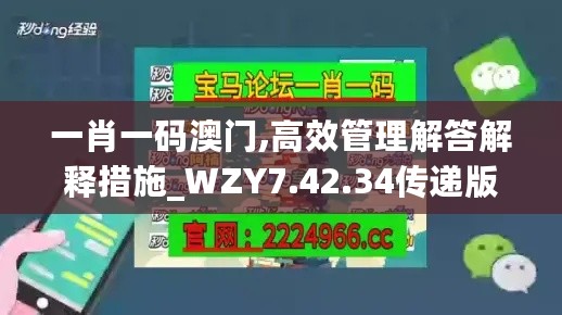 一肖一码澳门,高效管理解答解释措施_WZY7.42.34传递版