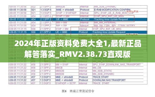 2024年正版资料免费大全1,最新正品解答落实_RMV2.38.73直观版