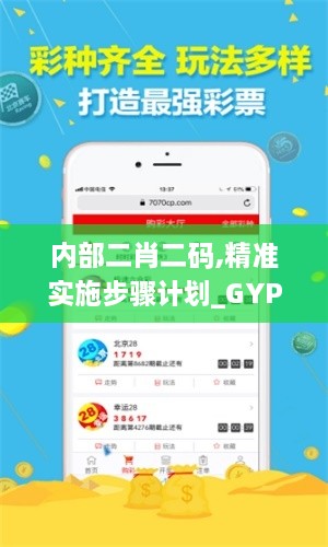 内部二肖二码,精准实施步骤计划_GYP9.68.76领航版