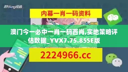 澳门今一必中一肖一码西肖,实地策略评估数据_YVX7.75.85SE版