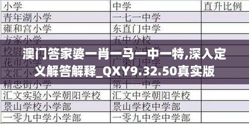 澳门答家婆一肖一马一中一特,深入定义解答解释_QXY9.32.50真实版