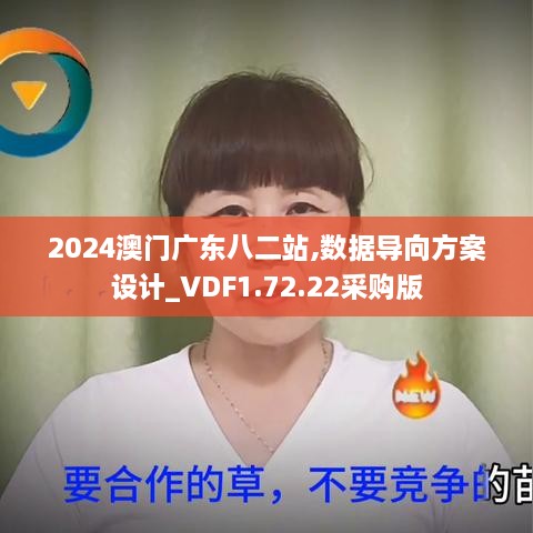 2024澳门广东八二站,数据导向方案设计_VDF1.72.22采购版