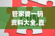 管家婆一码资料大全,直观解析方案解答解释_QXZ1.75.29互联版