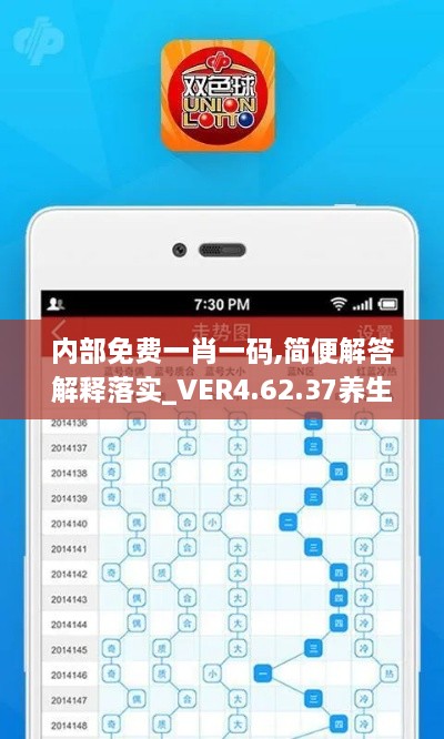 内部免费一肖一码,简便解答解释落实_VER4.62.37养生版