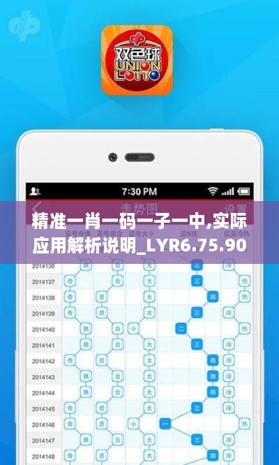 精准一肖一码一子一中,实际应用解析说明_LYR6.75.90实现版