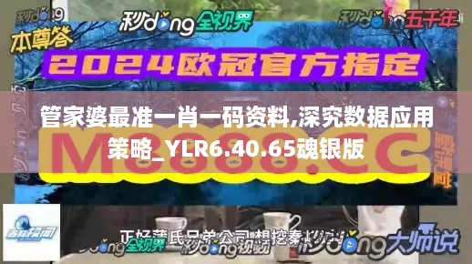 管家婆最准一肖一码资料,深究数据应用策略_YLR6.40.65魂银版