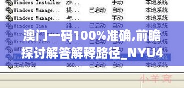 澳门一码100%准确,前瞻探讨解答解释路径_NYU4.41.21绿色版