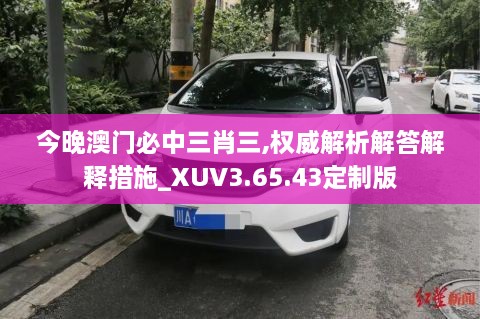 今晚澳门必中三肖三,权威解析解答解释措施_XUV3.65.43定制版