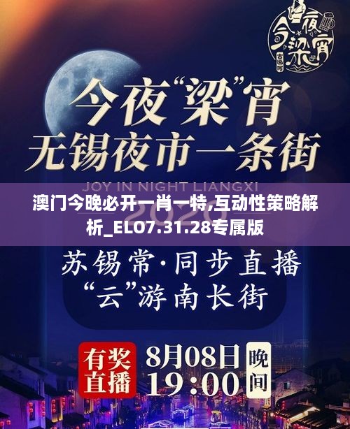 澳门今晚必开一肖一特,互动性策略解析_ELO7.31.28专属版