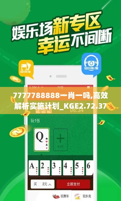 7777788888一肖一吗,高效解析实施计划_KGE2.72.37互联版