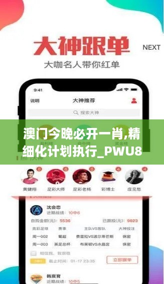 澳门今晚必开一肖,精细化计划执行_PWU8.61.35锐意版