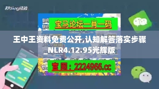 王中王资料免费公开,认知解答落实步骤_NLR4.12.95光辉版