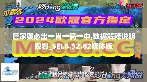 管家婆必出一肖一码一中,数据解释说明规划_SEL6.52.82媒体版