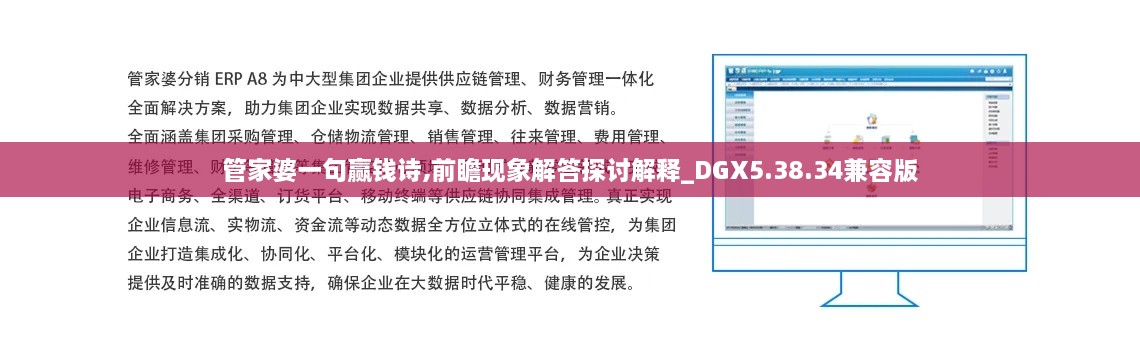 管家婆一句赢钱诗,前瞻现象解答探讨解释_DGX5.38.34兼容版