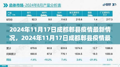 全面解读与案例分析，2024年11月17日成都郫县疫情最新情况