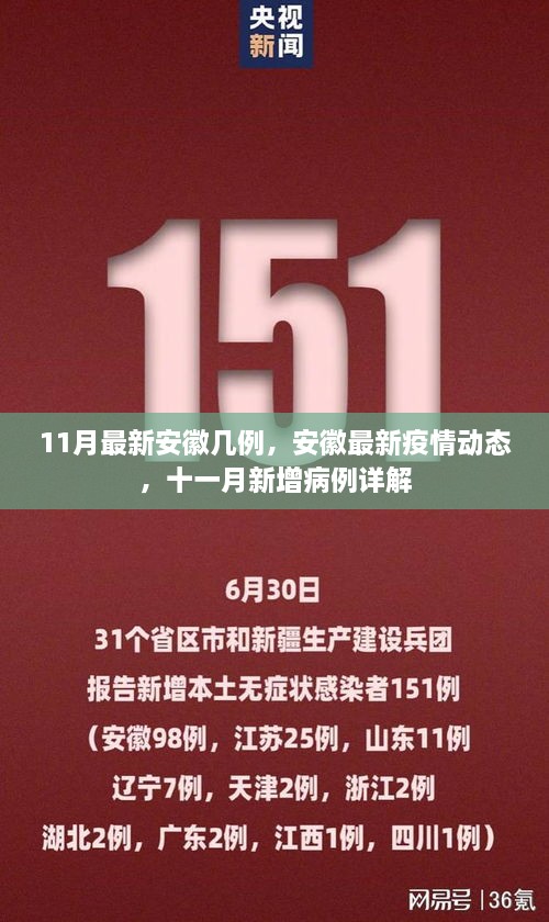 安徽最新疫情动态解析，十一月新增病例详解及安徽疫情最新数据