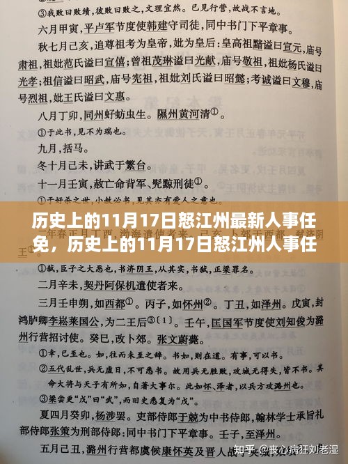 怒江州人事任免动态，揭秘历史上的11月17日人事调整大揭秘