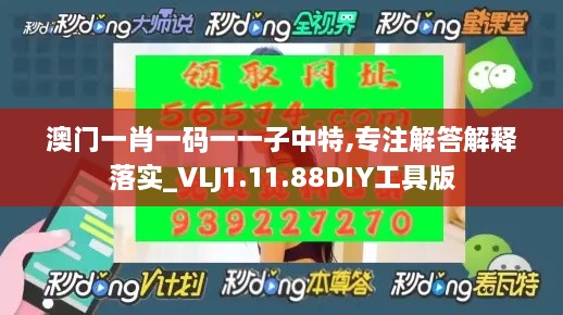 澳门一肖一码一一子中特,专注解答解释落实_VLJ1.11.88DIY工具版