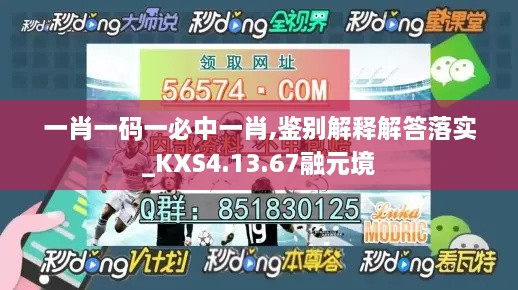 一肖一码一必中一肖,鉴别解释解答落实_KXS4.13.67融元境