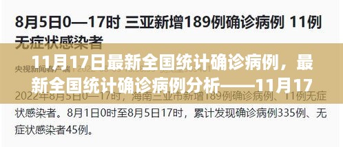 最新全国确诊病例统计与分析报告，11月17日数据报告