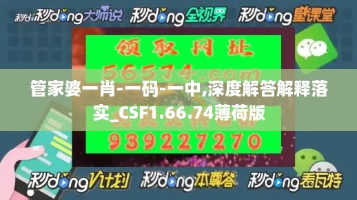 管家婆一肖-一码-一中,深度解答解释落实_CSF1.66.74薄荷版