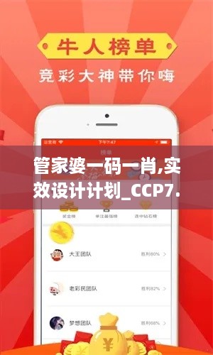 管家婆一码一肖,实效设计计划_CCP7.63.25专用版