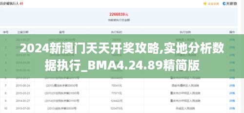 2024新澳门天天开奖攻略,实地分析数据执行_BMA4.24.89精简版