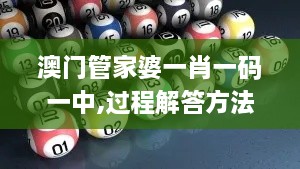 澳门管家婆一肖一码一中,过程解答方法解析分析_ZZU9.59.82创造力版