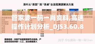 管家婆一码一肖资料,高速操作计划分析_DJS3.60.87创意版