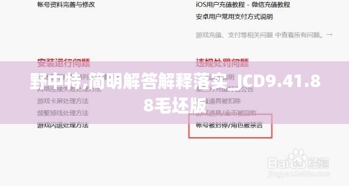 野中特,简明解答解释落实_JCD9.41.88毛坯版
