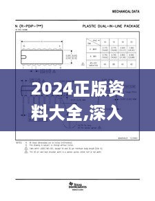 2024正版资料大全,深入应用解析数据_THD1.28.74DIY版