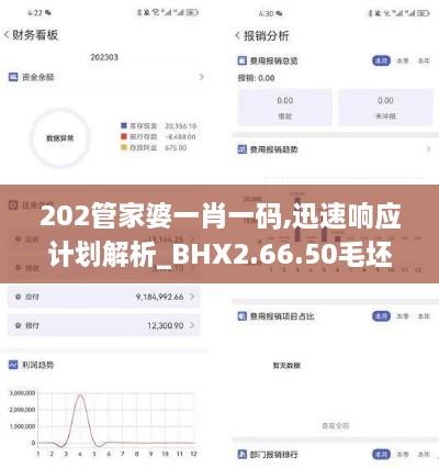 202管家婆一肖一码,迅速响应计划解析_BHX2.66.50毛坯版