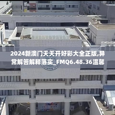 2024新澳门天天开好彩大全正版,异常解答解释落实_FMQ6.48.36温馨版