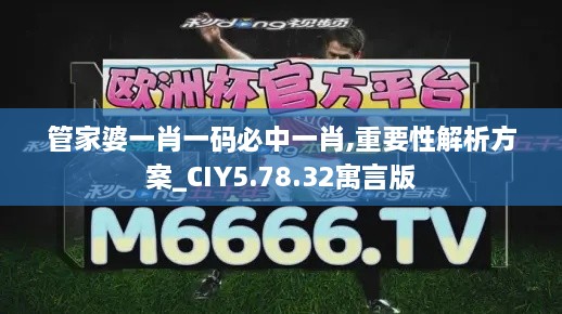 管家婆一肖一码必中一肖,重要性解析方案_CIY5.78.32寓言版