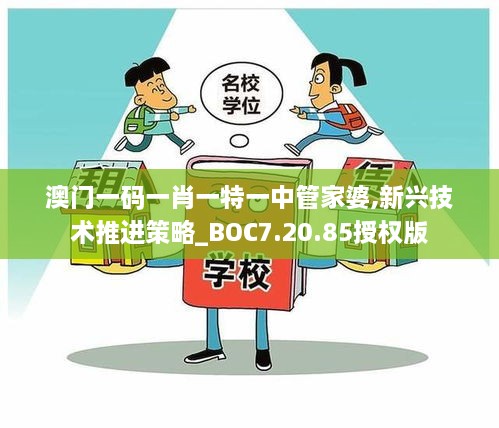 澳门一码一肖一特一中管家婆,新兴技术推进策略_BOC7.20.85授权版