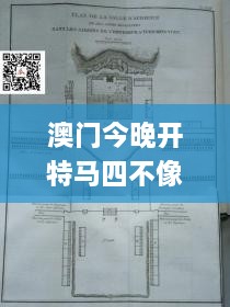 澳门今晚开特马四不像图,现代方案执行解析_LOM5.50.57电影版