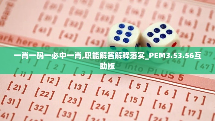 一肖一码一必中一肖,职能解答解释落实_PEM3.53.56互助版