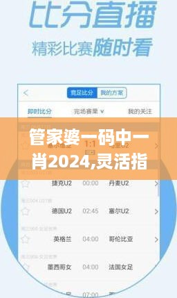 管家婆一码中一肖2024,灵活指导解答说明_DQY5.23.78特色版