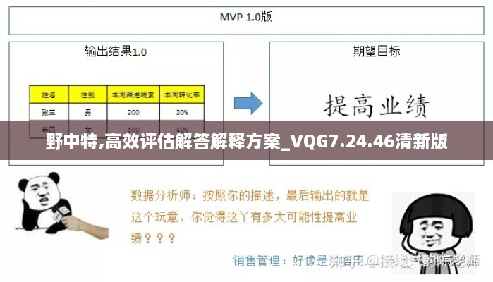 野中特,高效评估解答解释方案_VQG7.24.46清新版