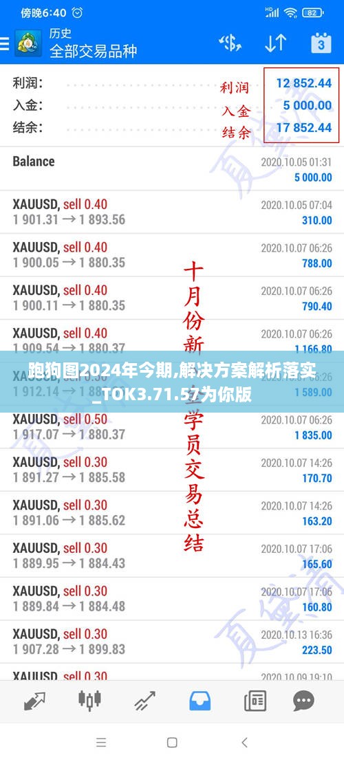 跑狗图2024年今期,解决方案解析落实_TOK3.71.57为你版