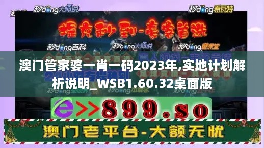 澳门管家婆一肖一码2023年,实地计划解析说明_WSB1.60.32桌面版