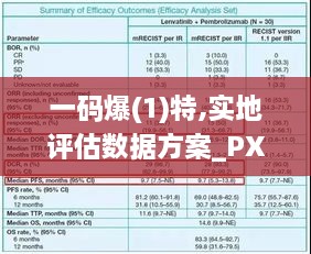 一码爆(1)特,实地评估数据方案_PXL8.39.51改制版