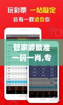 管家婆最准一码一肖,专题研究解答解释路径_LEF6.20.58显示版