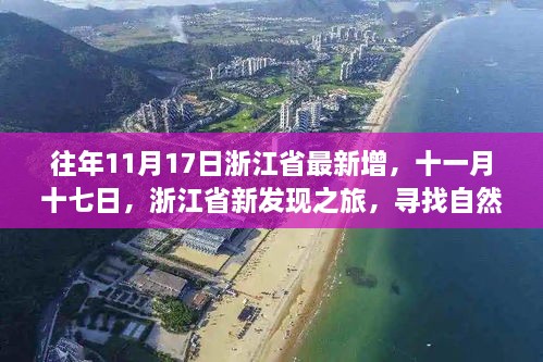 浙江新发现之旅，寻找自然怀抱与内心宁静的十一月十七日体验