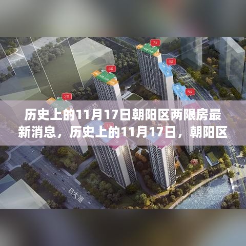 朝阳区两限房新政策照亮未来，梦想之旅的起点学习变化与成长之路